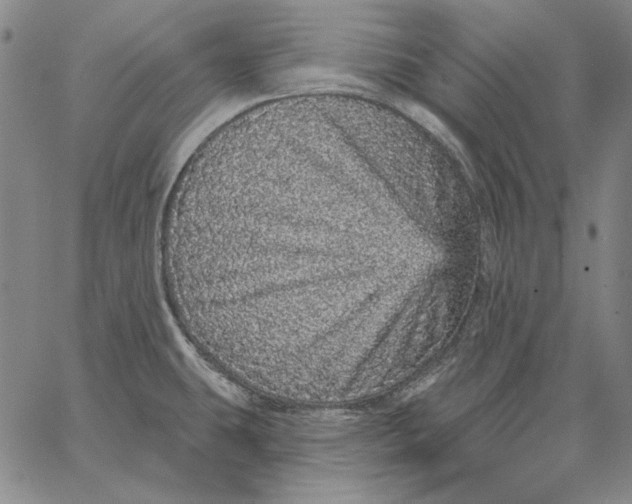 X0000066531431200604071606