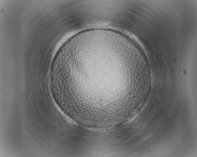 X0000066531432200604071606