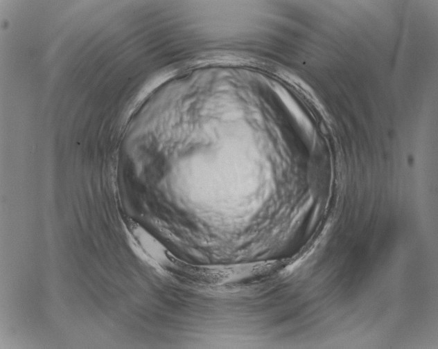 X0000066531433200604071606