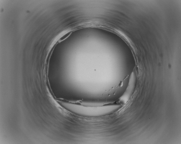 X0000066531434200604071606