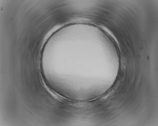 X0000066531437200604071606