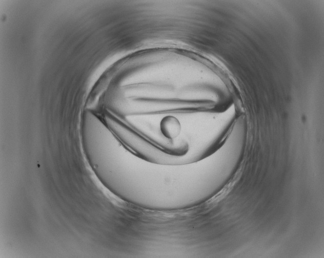 X0000066531438200604071606