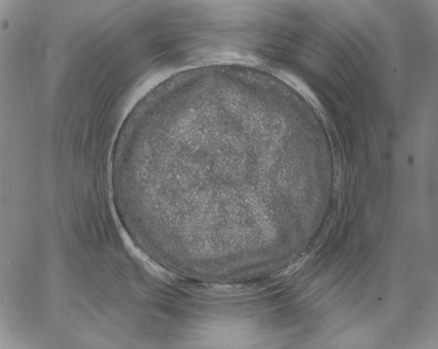 X0000066531439200604071606