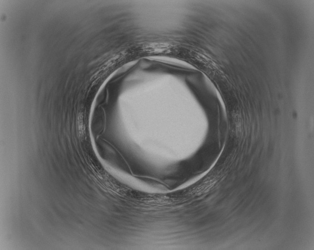 X0000066531442200604071605