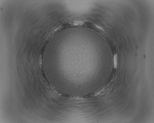 X0000066531443200604071605