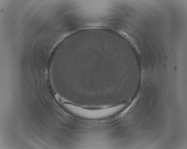 X0000066531449200604071605