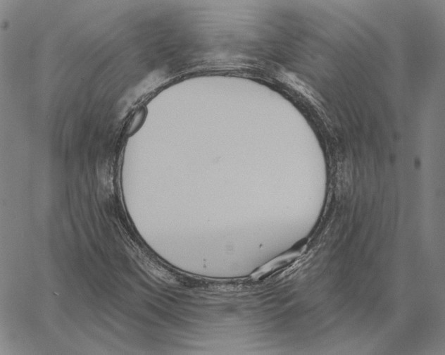 X0000066531451200604071605