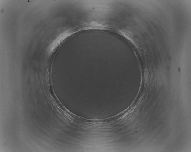 X0000066531455200604071605