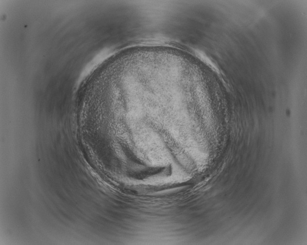 X0000066531456200604071605