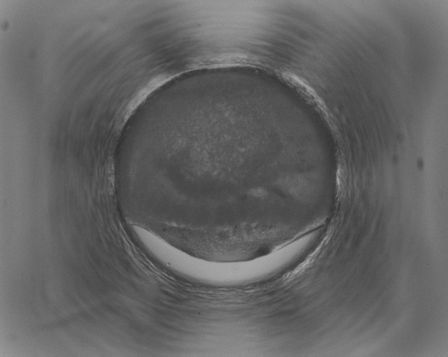 X0000066531457200604071605