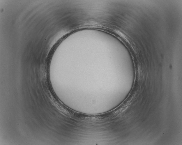 X0000066531458200604071605