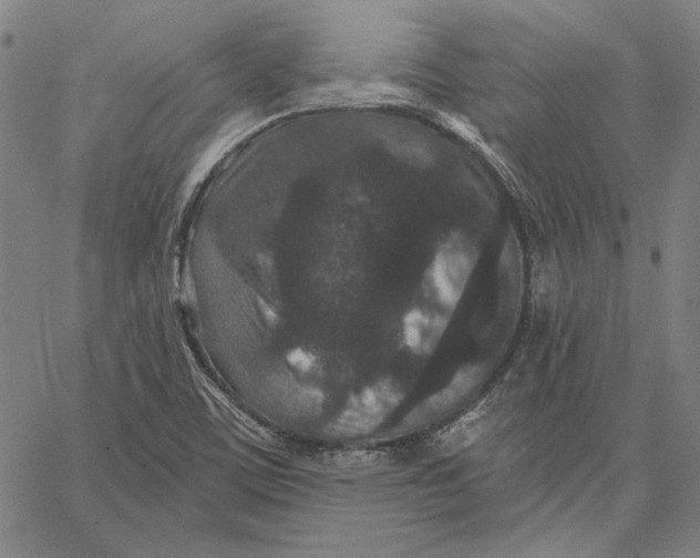 X0000066531459200604071605