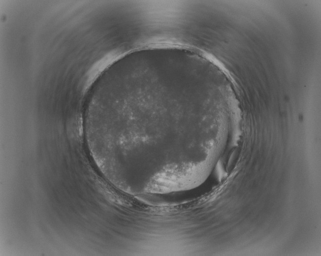 X0000066531461200604071605