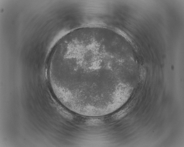 X0000066531462200604071605