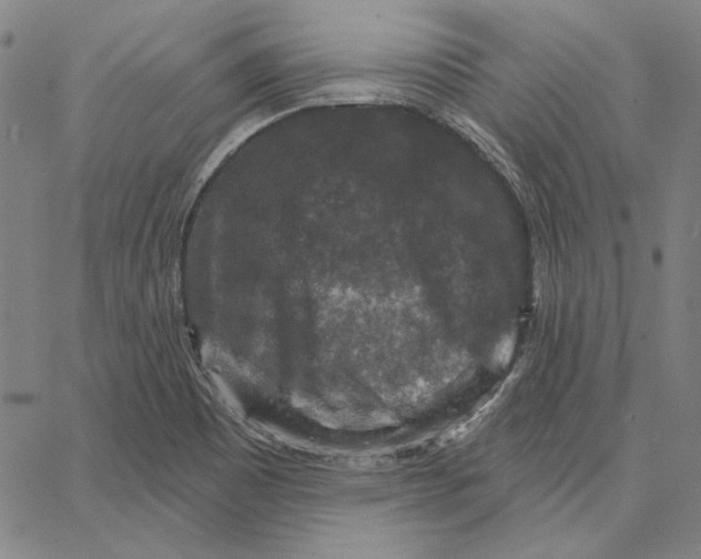 X0000066531465200604071605