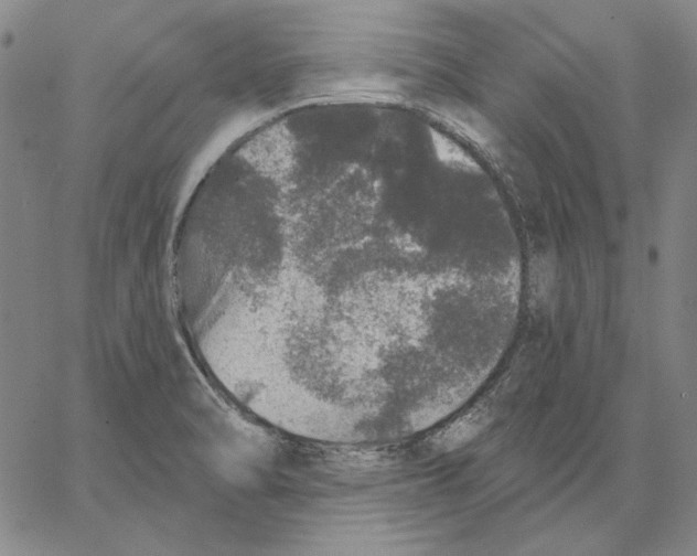 X0000066531470200604071604