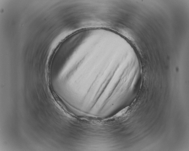 X0000066531472200604071604