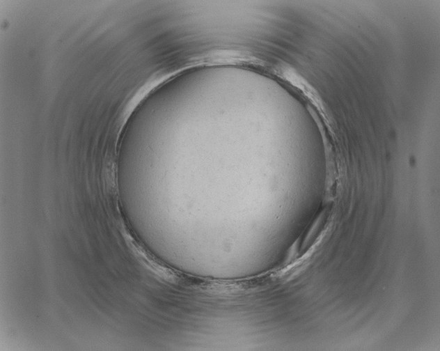 X0000066531473200604071604