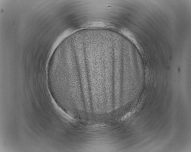 X0000066531475200604071604