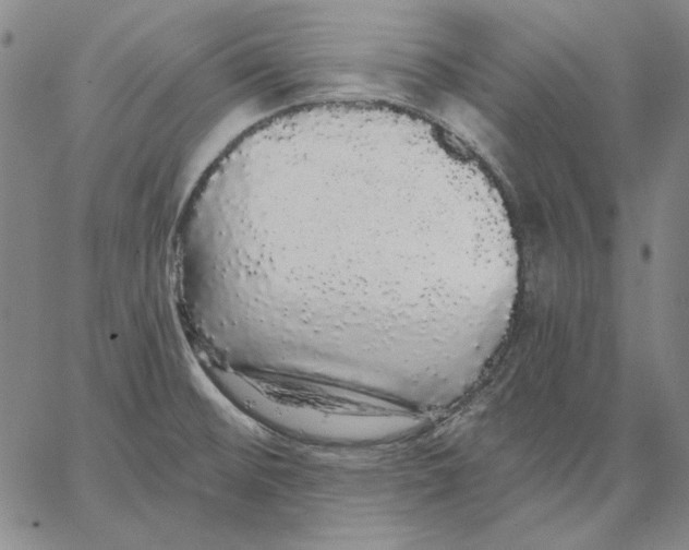 X0000066531476200604071604