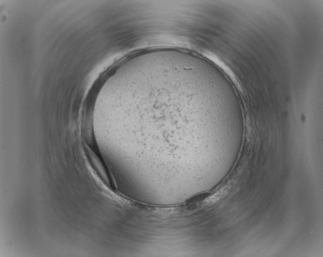 X0000066531477200604071604