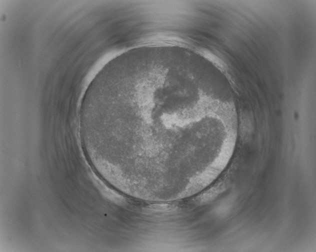 X0000066531478200604071604