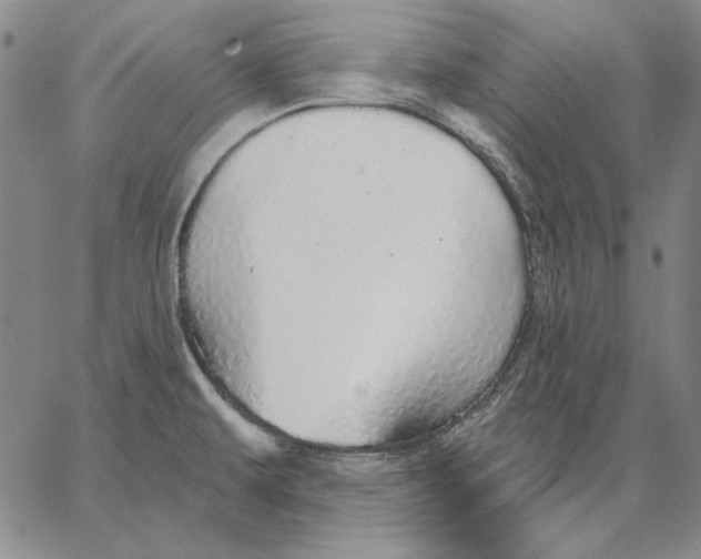 X0000066531479200604071604