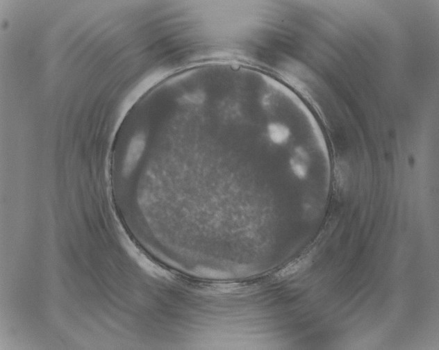 X0000066531482200604071604