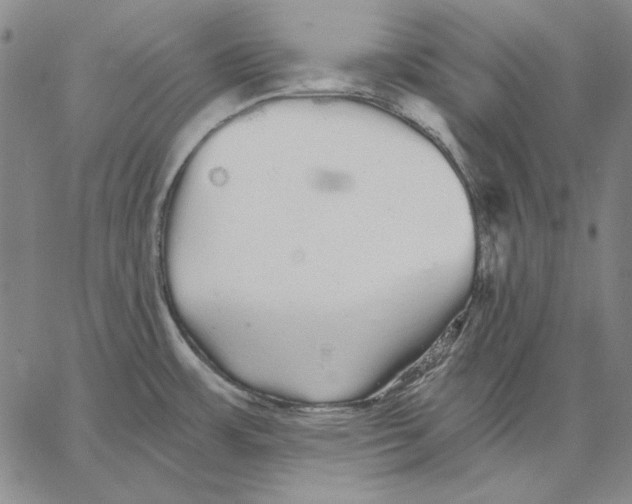 X0000066531483200604071604