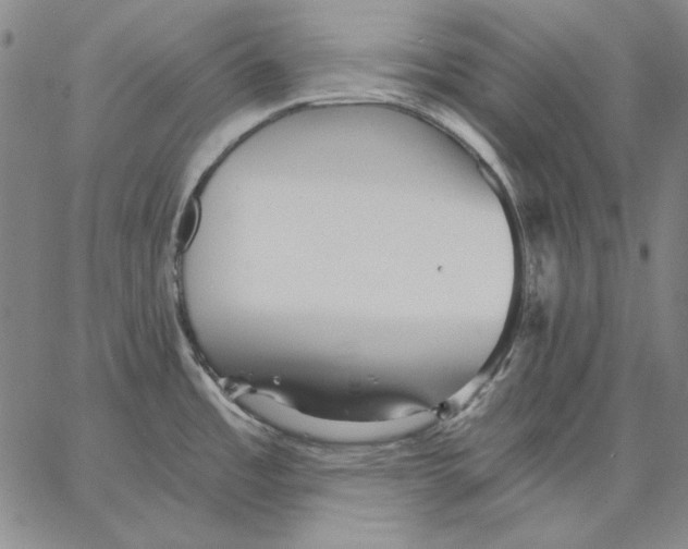 X0000066531485200604071604