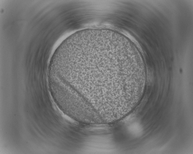 X0000066531486200604071604