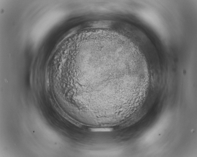 X0000066531487200604071604