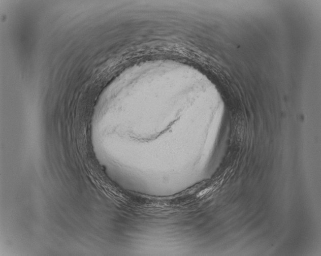 X0000066531489200604071603