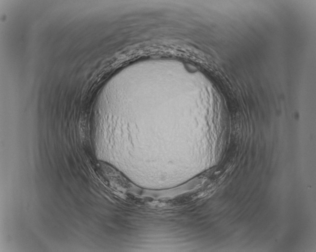 X0000066531490200604071603