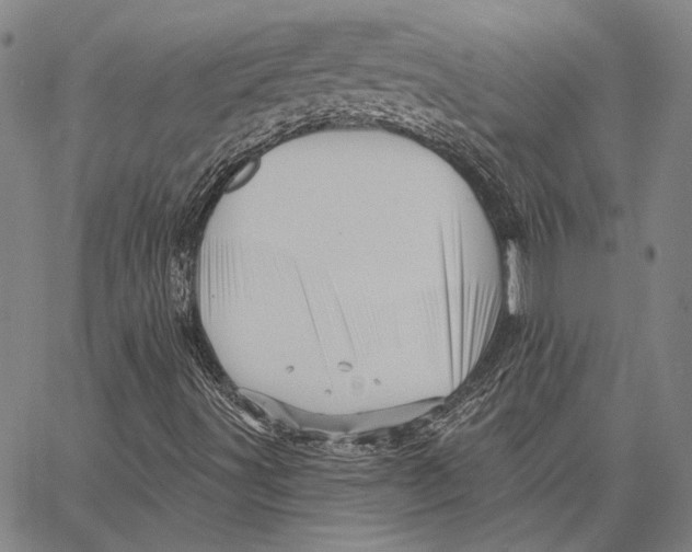 X0000066531491200604071603