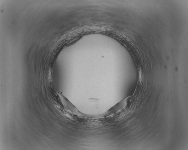 X0000066531492200604071603