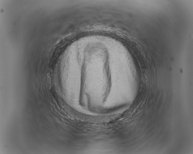 X0000066531493200604071603