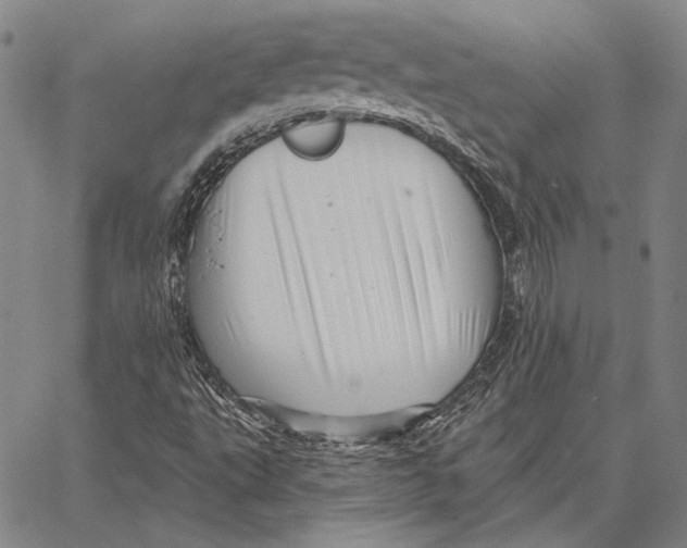 X0000066531495200604071604