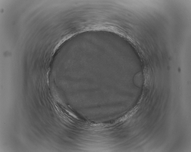 X0000066531497200604071604