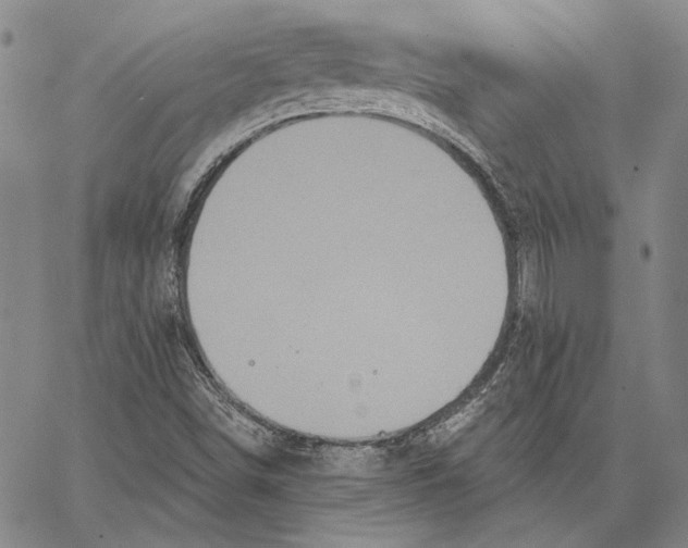 X0000066531498200604071604