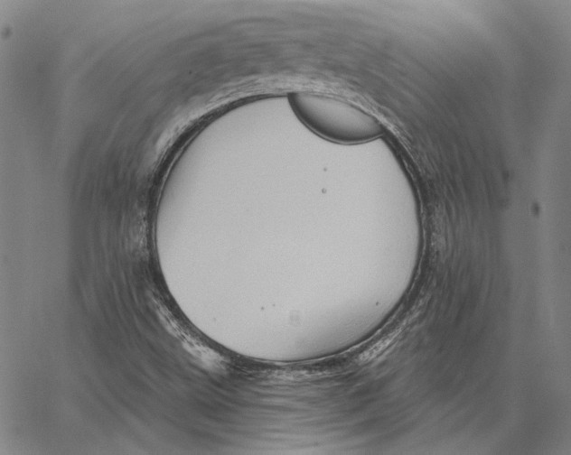 X0000066531499200604071604