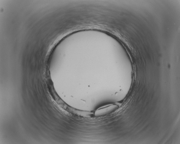 X0000066531500200604071604