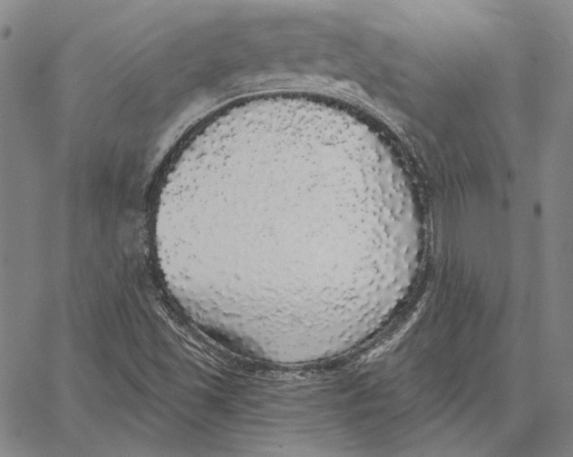 X0000066531501200604071604