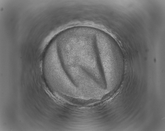 X0000066531503200604071604