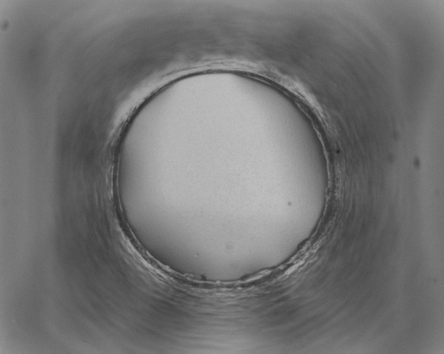 X0000066531504200604071604