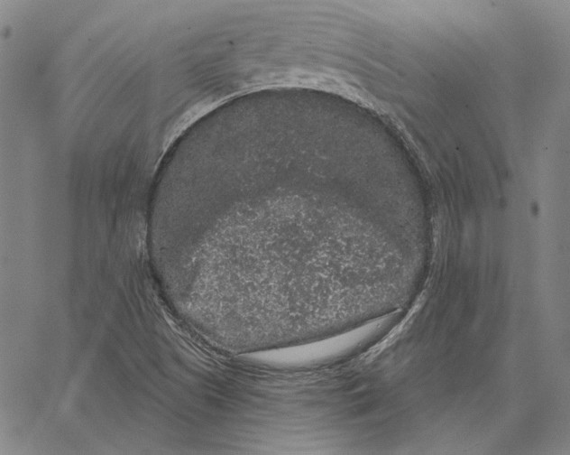 X0000066531505200604071604