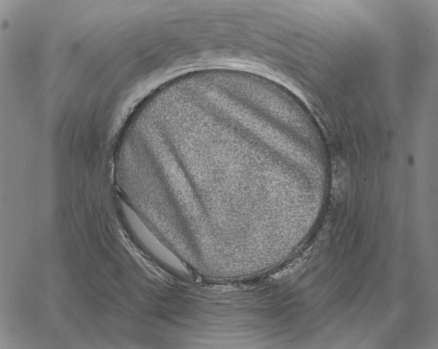 X0000066531507200604071604