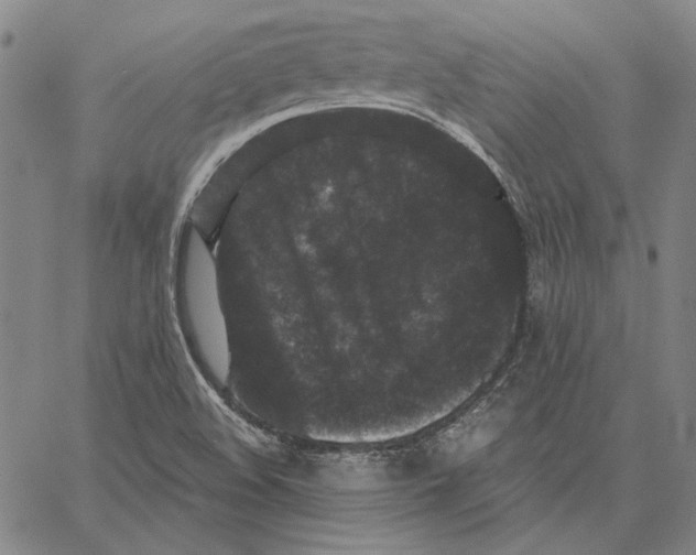 X0000066531508200604071604