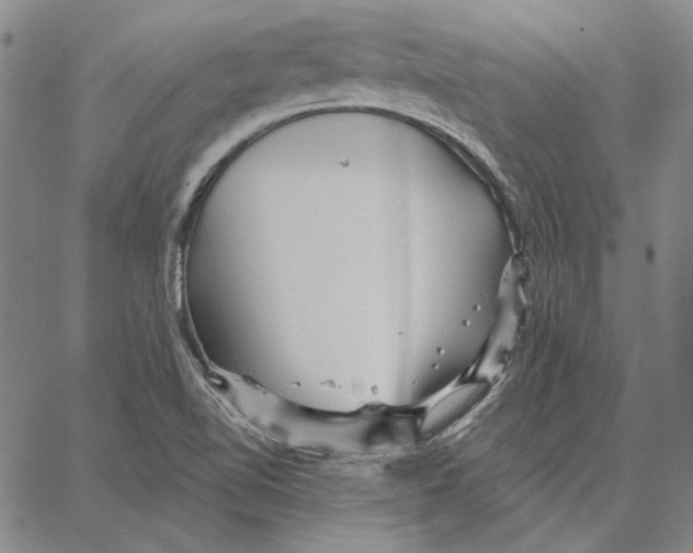 X0000066531510200604071604