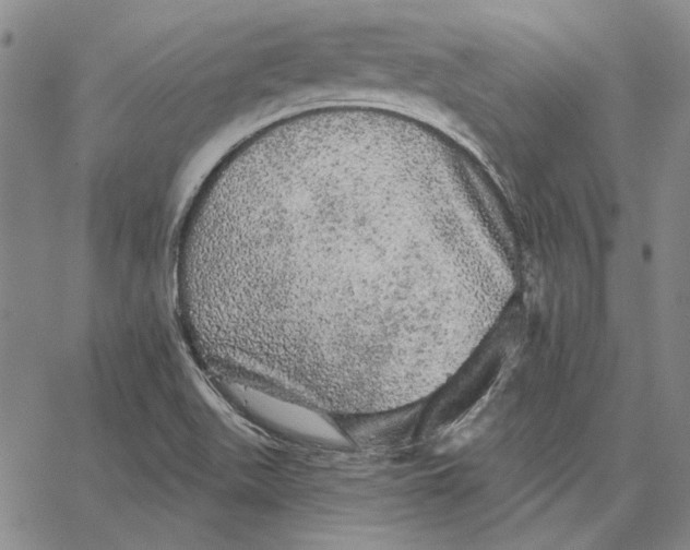 X0000066531511200604071604